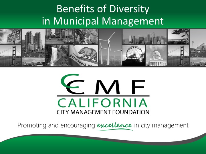 Benefits of Diversity of Municipal Management
